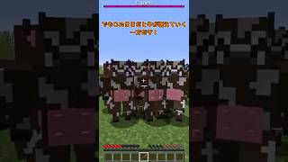「車」を拾ったら、ウシに怒鳴られた。【マイクラ】