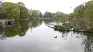 preview picture of video 'Le lac du parc des chantraines à Gennevilliers'