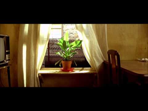 Shape Of My Heart - Carmen Cuesta