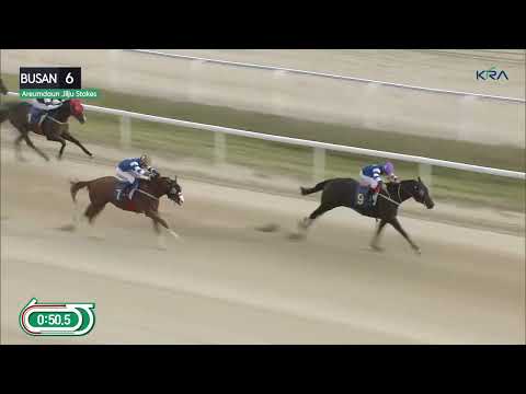 (Busan) 2022.10.02 R6 Areumdaun Jilju Stakes - Juvenile Listed