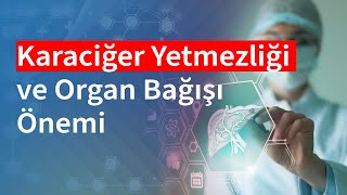 Karaciğer Yetmezliği ve Organ Bağışı Önemi | Medical Park