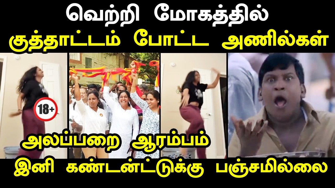 வெற்றி மோகத்தில் குத்தாட்டம் போட்ட அணில்கள் I #tvkvijay #tvkvi