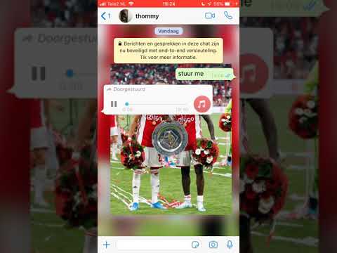 frenna ft emms poke bizzey - 100 BITCHES