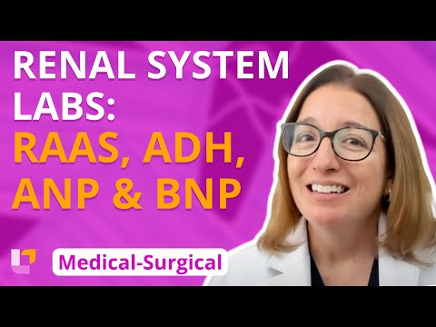 RAAS, ADH, ANP/BNP, Renal System Labs - Medical-Surgical (Med-Surg) - Renal System - @LevelUpRN