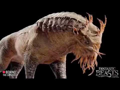 Fantastic Beasts And Where To Find Them   Behind The Scenes  VFX Special Effect