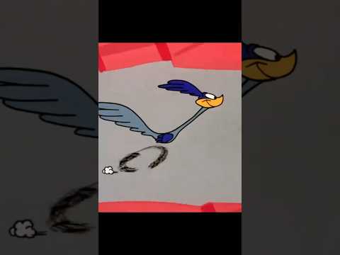 Beep Beep! 🛣️😂 | Roadrunner’s Funniest Moment🐦💥 | WB