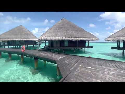 Videos del Adaaran Club Rannalhi 4★ en Atolón de Malé Sur, MaldivasVer MásVerPrecios18CerrarConsulta por Whatsapp 🇦🇷BookingTripadvisorExpediaAgodaTravelocityOrbitzPricelineTripSkyscannerDespegarKayakHotelesDestiniaTrivagoAlmundoLastminuteTuiWotif