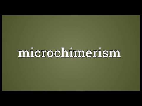 Microchimerism Meaning