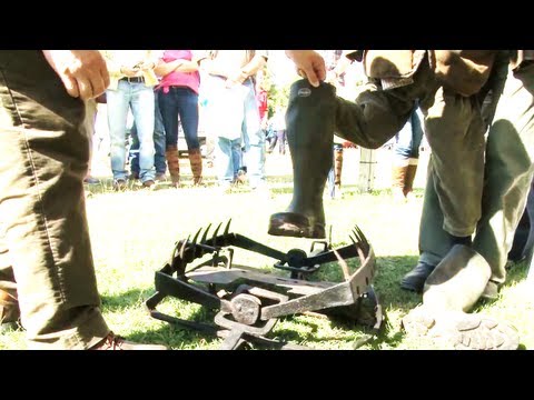 Fieldsports Britain – Mantrap, cannon and who is stealing peregrines? Episode 87 Fieldsports Britain – Mantrap, cannon and who is stealing peregrines? Episode 87