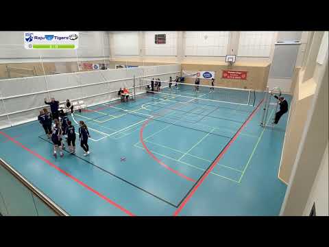 45917   Raju - Tigers