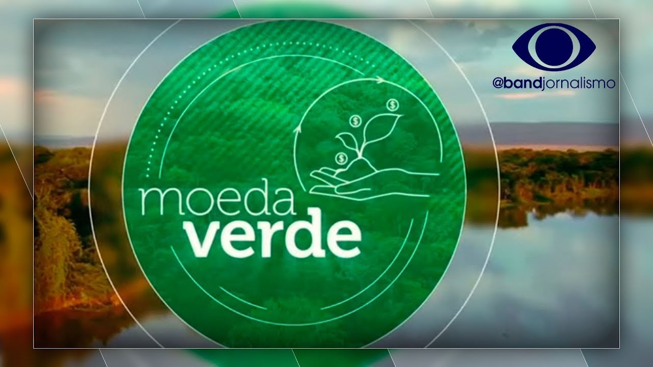 Moeda Verde: projeto já plantou 2 milhões de árvores