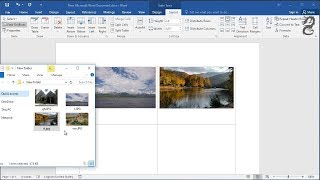 Drag and drop photos or images into word : How to insert images into word document table