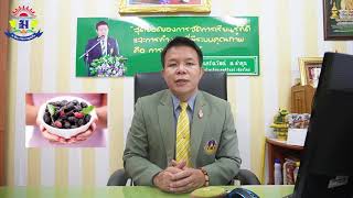 วีดีทัศน์การประเมิน PA ผอ.ต้นตาล รร เทพศิรินทร์ เชียงใหม่