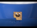 Cinnamon Toast Crunch EATS HIMSELF