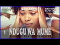 SIMULIZI YA MAPENZI: NDUGU WA MUME 1 season II BY D'OEN