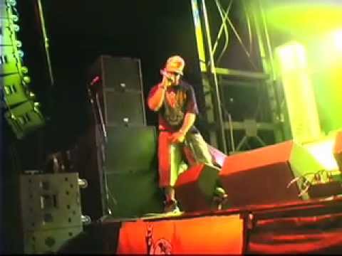 Diction Reggae Festival Show