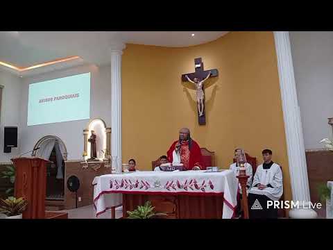 Santos Pedro e Paulo, Apóstolos