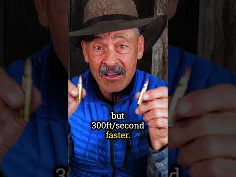 223 Rem vs 222 Rem vs 22-250 Rem