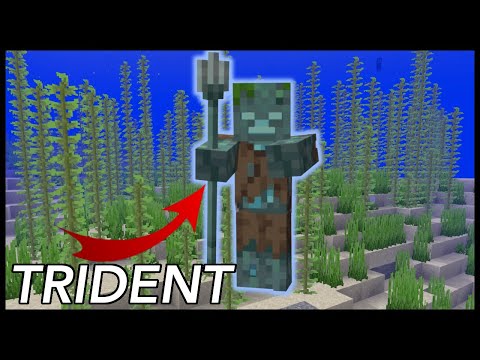 RajCraft - How To Get A Trident In Minecraft?