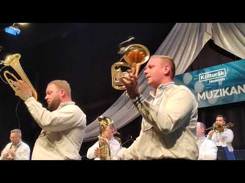 Dunajská Kapela - Haňulka polka  (Hodonín Musikanten ball 2025)