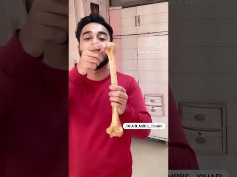 Humerus Bone Side Determination Anatomy | Side Determination of Humerus Bone Anatomy #shorts