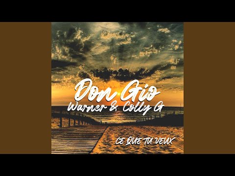 Ce que tu veux (feat. Warner & Colly G)