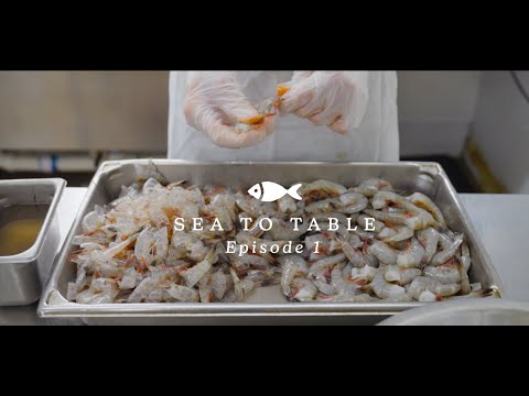 The Outer Edge | Episode 1 - Sea To Table