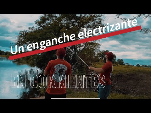 Pesca en Goya y Lavalle, en la provincia de Corrientes 🎣