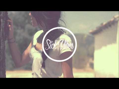 Funkin Matt x Tim Berg - Brophant (David Souza Mashup)