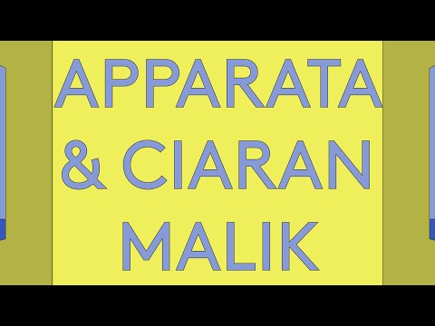 100 Day Studio: APPARATA and Ciaran Malik - Lifespan