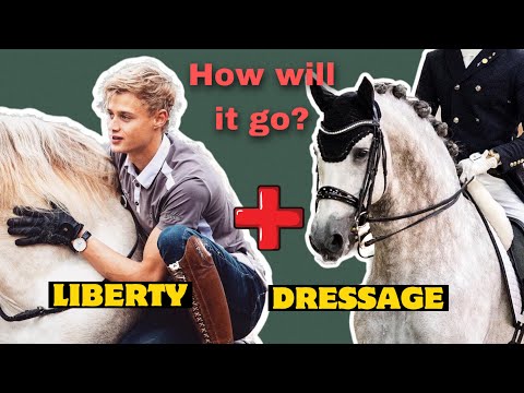 HORSE SWAP JESSE RIDES MY STALLION