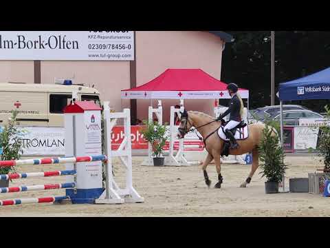 Davinci Gold Stilspringprüfung Kl. A Olfen Vinnum 2020