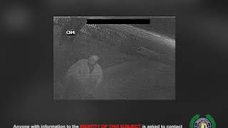 Criminal Mischief Suspect