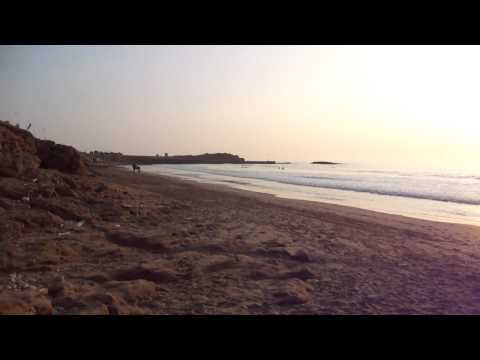 Gentleman Gipsy - Al galoppo sulla spiaggia di Imourane_2