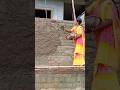 Ladies Rajmistri Plaster Shortsviral Viral