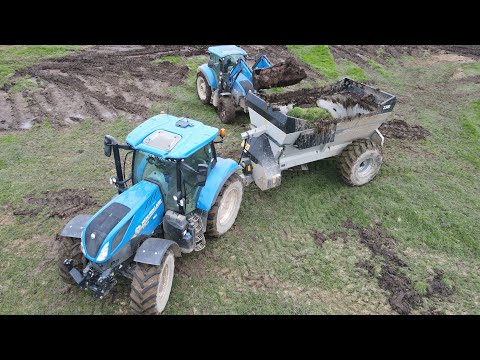 Turning out cows in spring and spreading manure on field ready to Plough￼