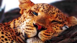 Polarkreis 18 - Allein Alene [Reworked by Carsten],Allein Allein