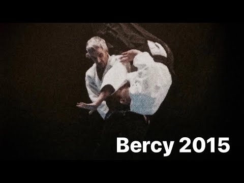 L' Aikido au 30e Festival des arts martiaux 2015 avec Bruno Gonzalez