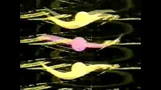 Neutron 9000 -  Ki-Oha Girl