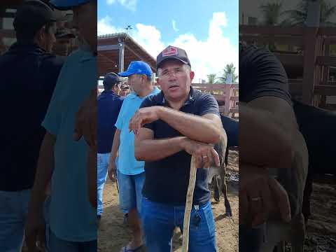 FEIRA DE GADO DE LAGOA DE PEDRAS-RN