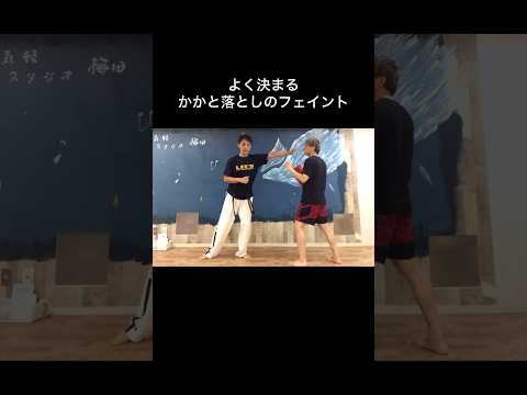 よく決まるかかと落としのフェイント　#テコンドー  #かかと落とし　#tkd