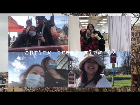 [UK VLOG] Year 1 Spring Break 🌸 Clapham Junction to London | Brighton Day Trip | London 4D3N