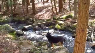 preview picture of video 'Knox Brook Sanbornton NH'