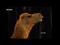 MNET South Africa 1995
