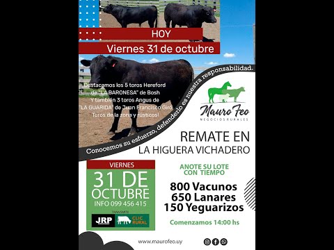 31-10-2025 Mauro Feo negocios rurales,  La Higuera Vichadero Rivera