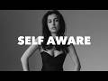 Temper City - Self Aware (N4C Techno Remix)