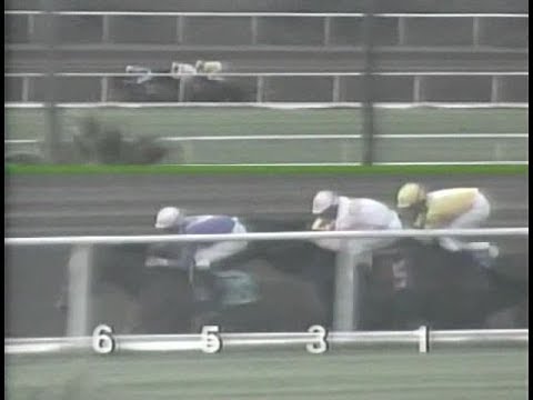 1992 Swaps Stakes