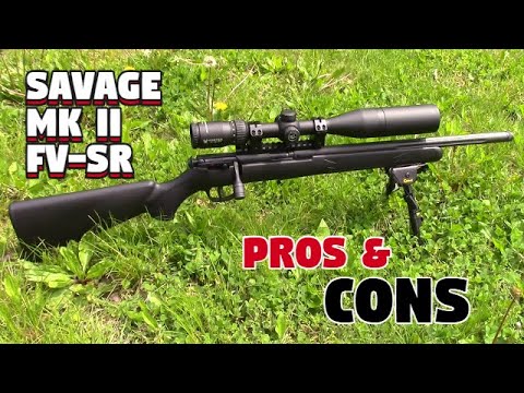 Savage Mark II …. Is this the best .22 for 300 dollars?