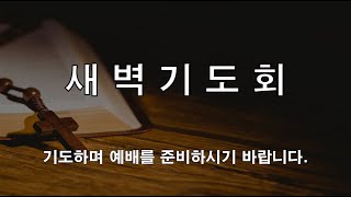 설교 동영상 메인 