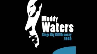 Muddy Waters - Lonesome Road Blues